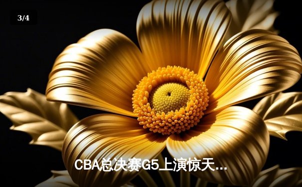 CBA总决赛G5上演惊天逆转 辽宁男篮加时险胜广东夺赛点 - 3